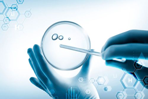 科技專(zhuān)利加持自然呵護(hù)力 全維呵護(hù)國(guó)人口腔健康